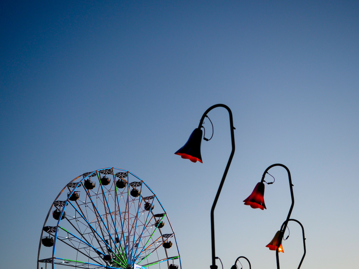 Ferris Wheel at NC State Fair